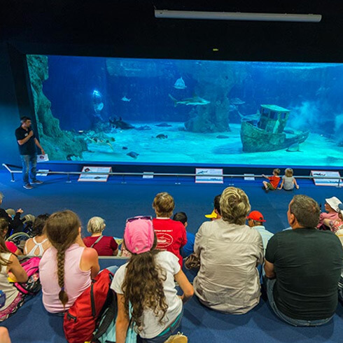 pourquoi-venir-ocearium