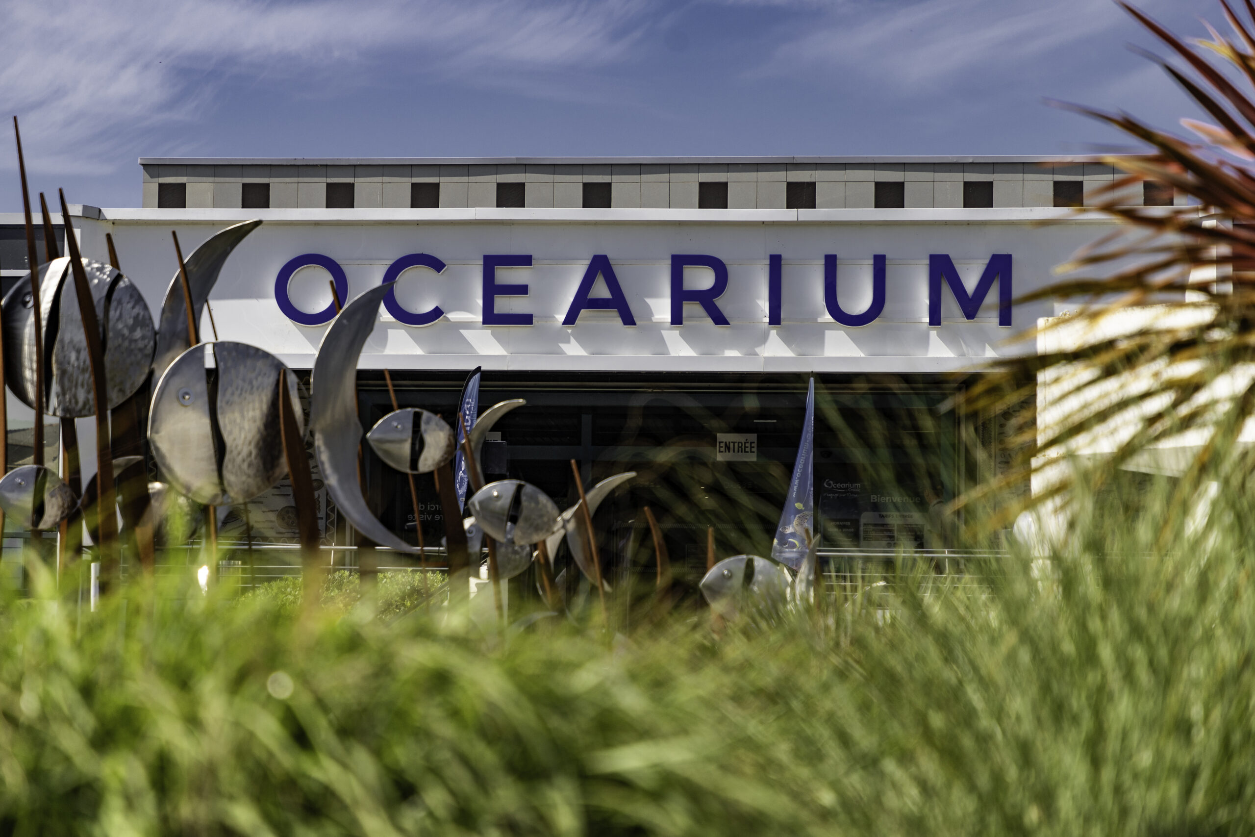 ACCUEIL-BOUTIQUE-002