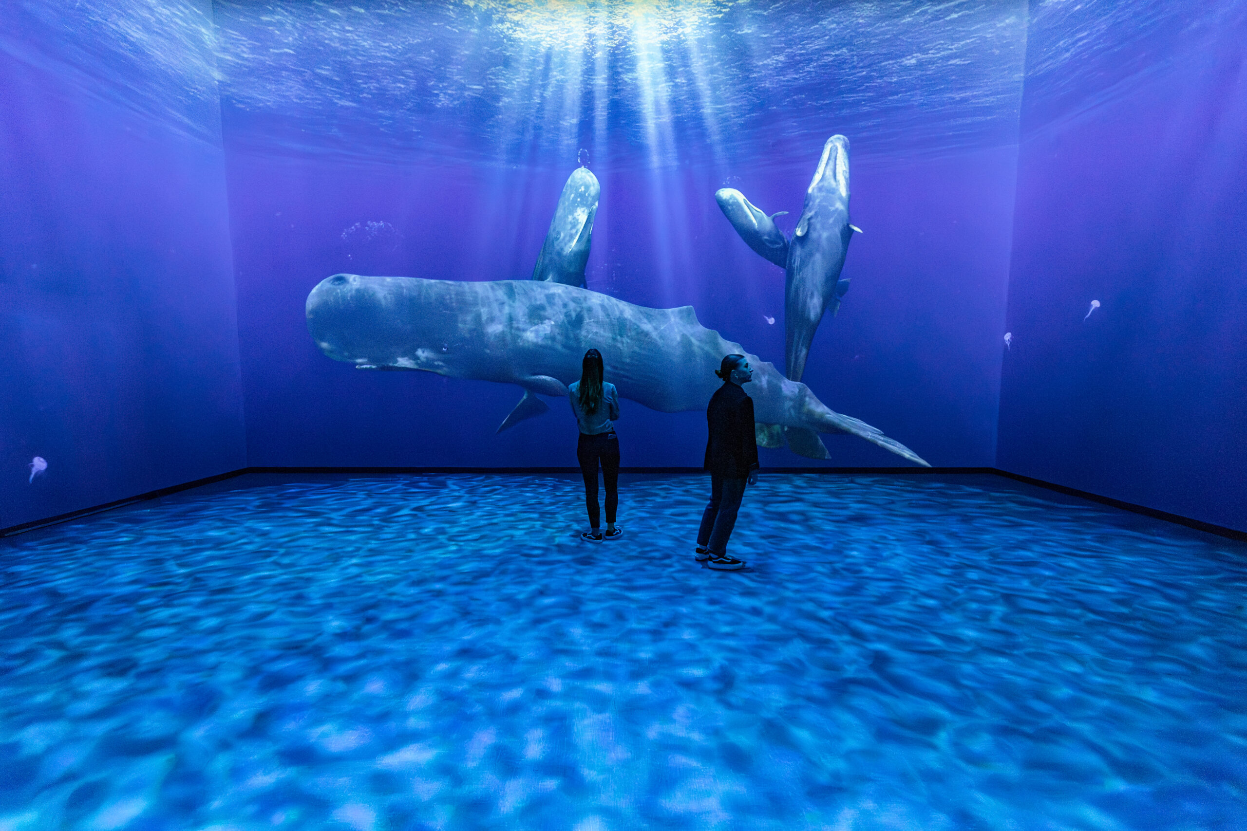 20251014 - OCEARIUM De╠üpliant - YLHO-39